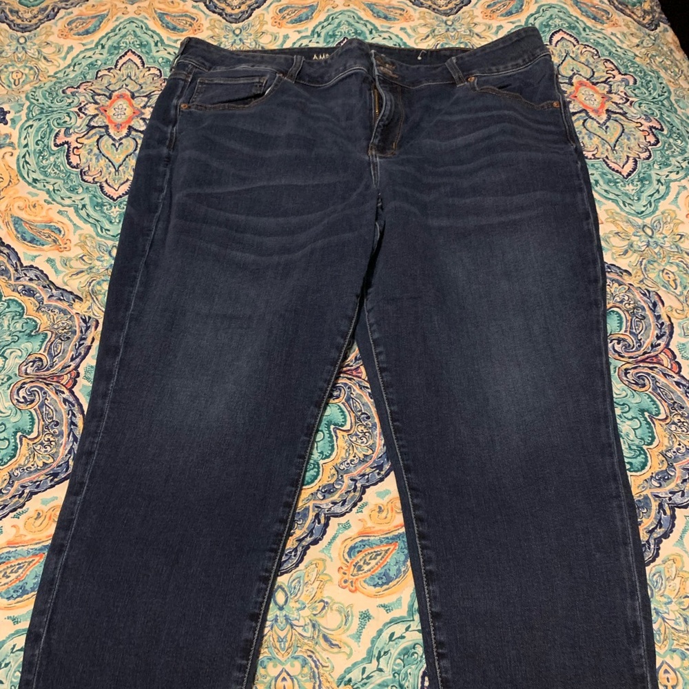 American Eagle Plus Size Women’s Capris Size 24